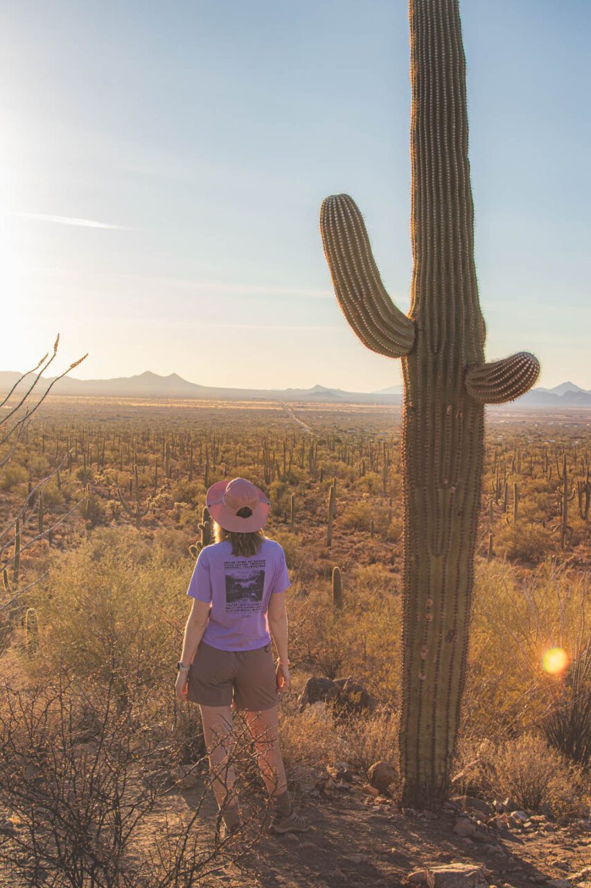 Arizona. Gdzie codzienność pachnie suchym powietrzem, a zachody słońca uczą cierpliwości.