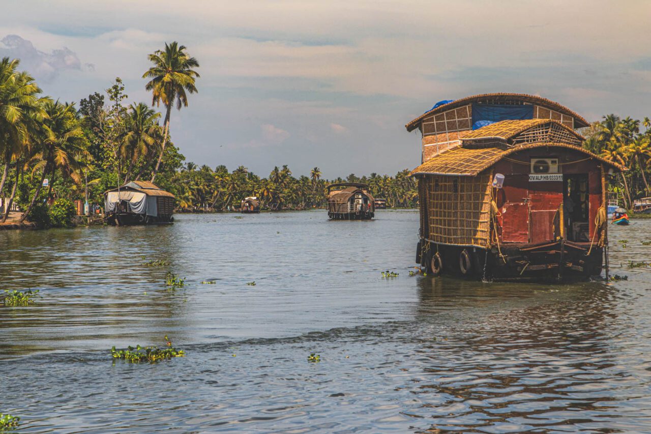 Houseboaty cumujące wzdłuż palmowego brzegu kanału w Alleppey, Kerala, Indie.