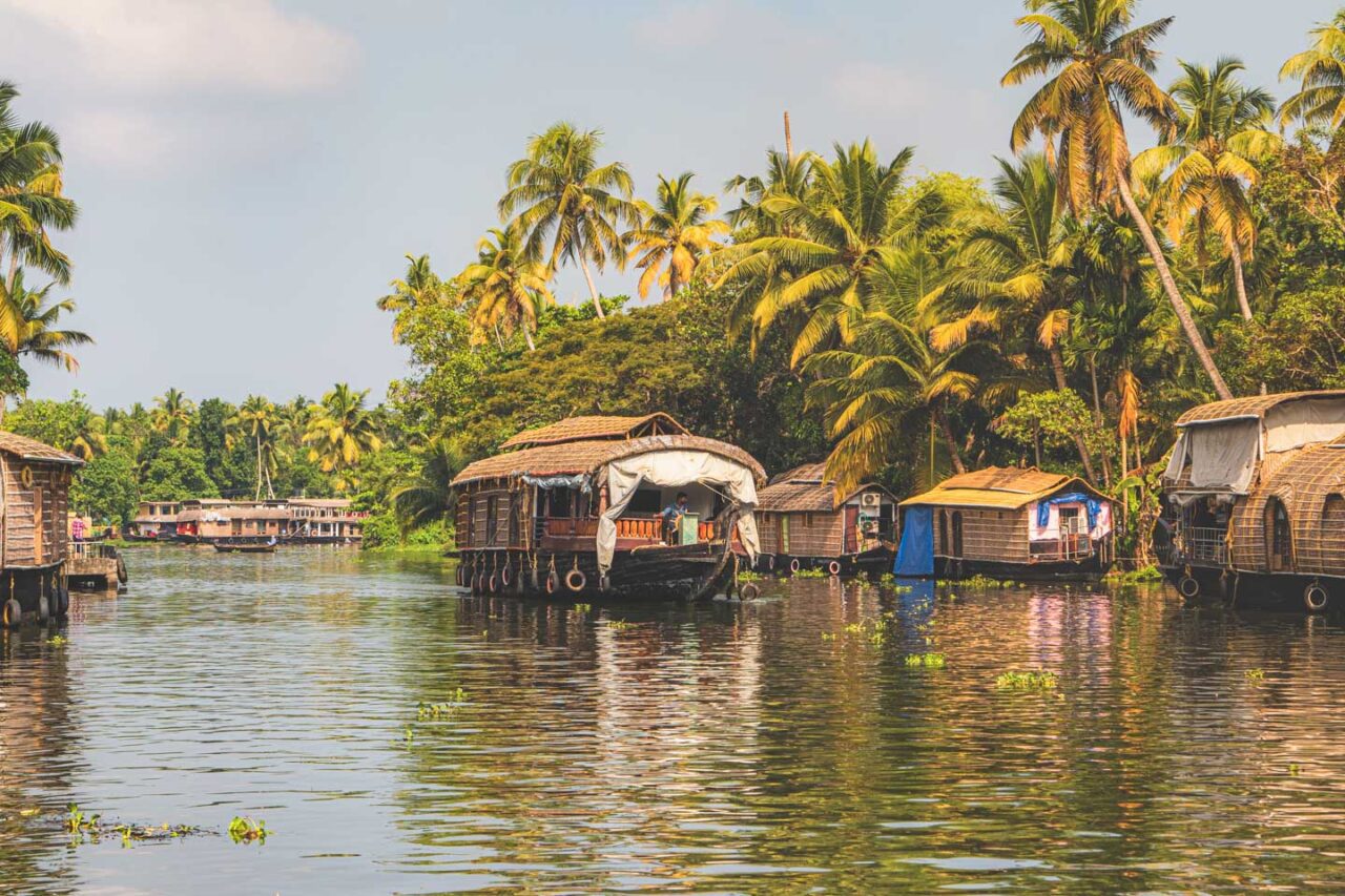 Zatłoczony kanał z cumującymi houseboatami w otoczeniu palm w Alleppey, Kerala.