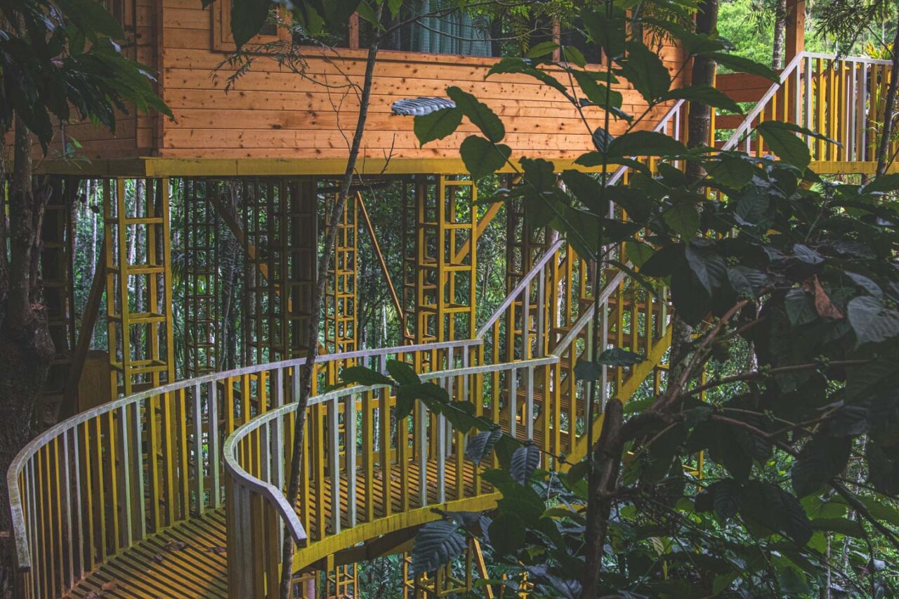 Yellow stairs leading to a wooden tree house in the jungle of Wayanad, Kerala – surrounded by tropical greenery.