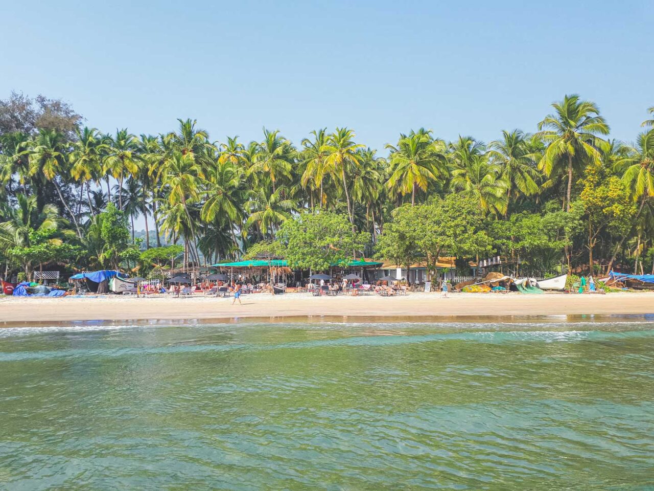 Palolem Beach seen from the sea - palm trees, beach shacks and calm water