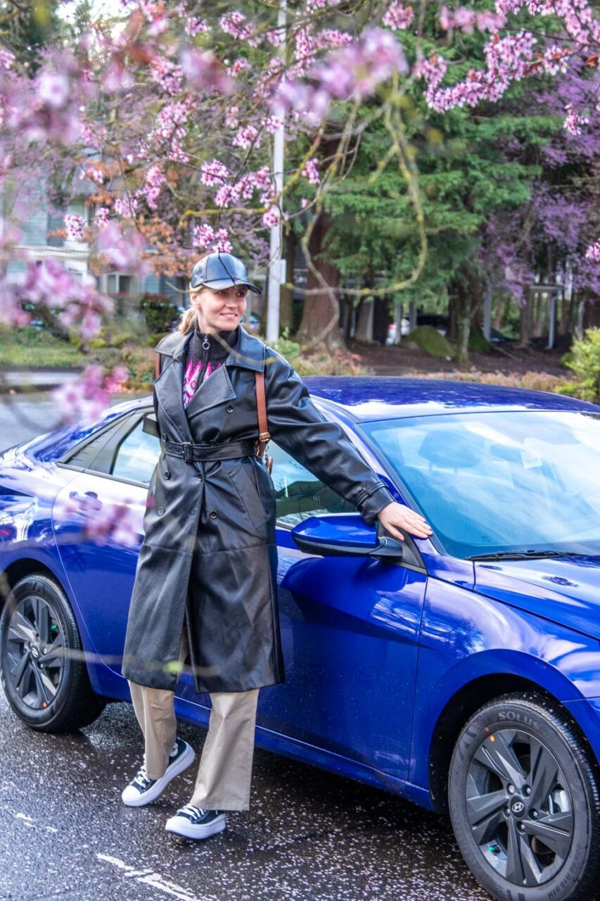 Registering a car online, a calm driving test, cherry blossoms in the background - it really doesn’t get any simpler.