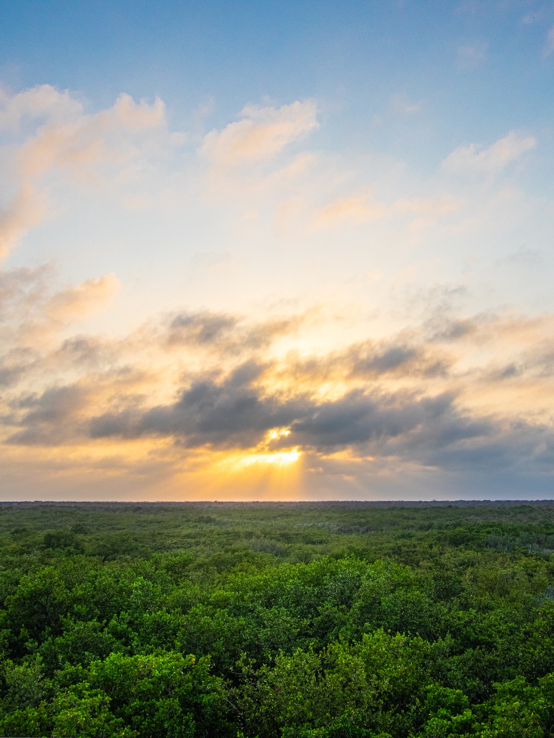 Sunset over the green jungle in Tulum, with rays of light breaking through the clouds.