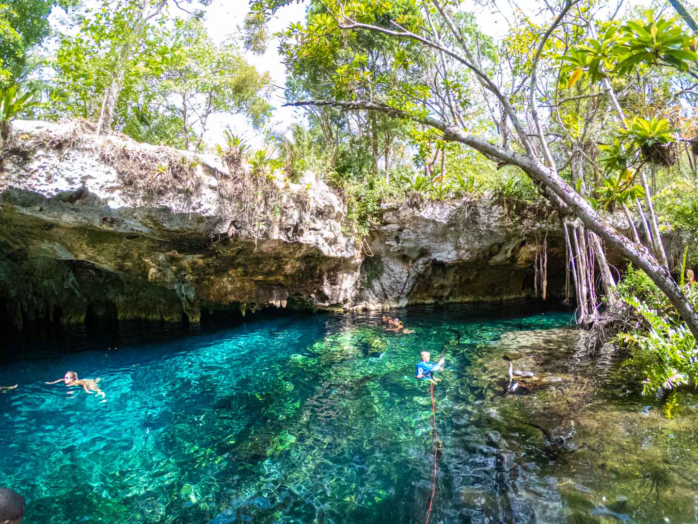 People swimming in a natural, open-air cenote near Tulum, surrounded by rocks and tropical vegetation.