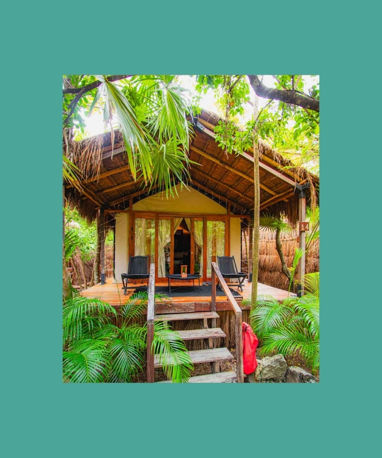 A tropical bungalow surrounded by lush greenery in Mexico — a cozy, atmospheric place to stay.